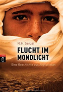 Flucht im Mondlicht