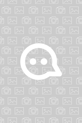 Die Rose von Arabien